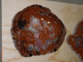 petrified_wood_7