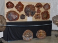 petrified_wood_display